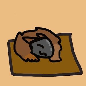 Meet your Posher, Chockymalk